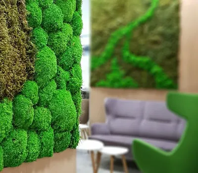 Centrum Serca Lumina Cordis